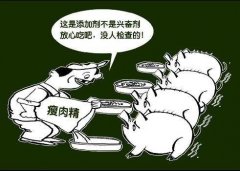土雞蛋一天攝入多少合適？