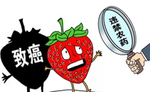 孩童的飲食安全如何注意？