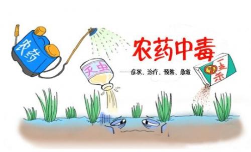 合適的蔬菜如何來(lái)選擇？
